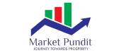bfi capital market pundit