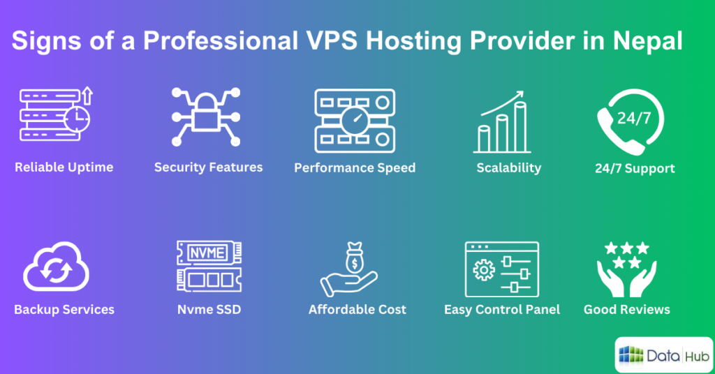 signs of a professional vps hosting providers in nepal