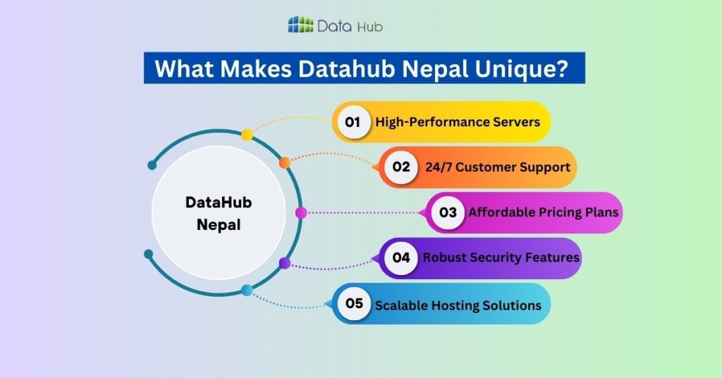 What Makes Datahub Nepal Unique? 