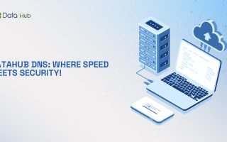 DataHub DNS service