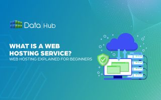 What is a web hosting service?(Web hosting explained for Beginners)
