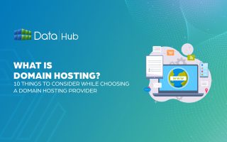 What is domain hosting ( 10 things to consider while choosing a Domain Hosting Provider)
